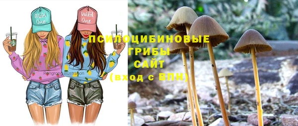 гидропоника Лихославль