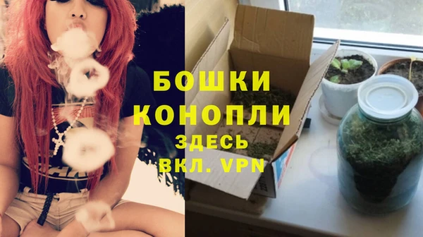 дурь Липки