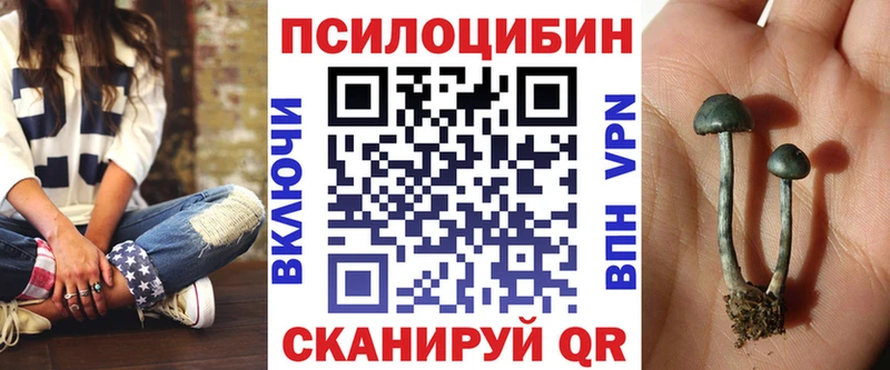 kraken ONION  где купить наркоту  Заволжск  Галлюциногенные грибы Magic Shrooms 